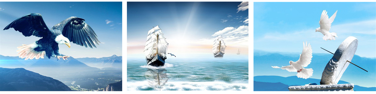 201905281655524939.jpg 201905281655524939.jpg